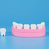 インプラント治療では歯並びを治せない？おすすめの治療法を解説